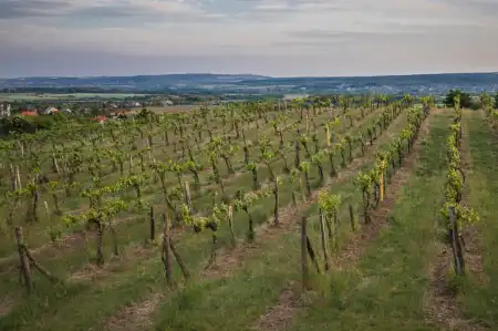 Hihetetlen, ami a magyar ingatlanpiacon történik: régión belül is hatalmasak az árkülönbségek