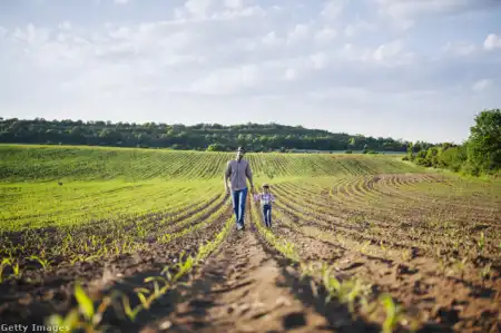 LEHET, HOGY INGATLANT ÖRÖKÖLTÉL, DE NEM IS TUDSZ RÓLA: ÍGY DERÜLHET KI