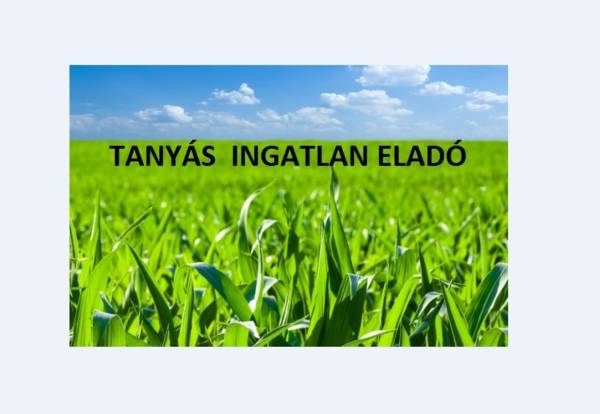 eladó tanya, Nyíregyháza